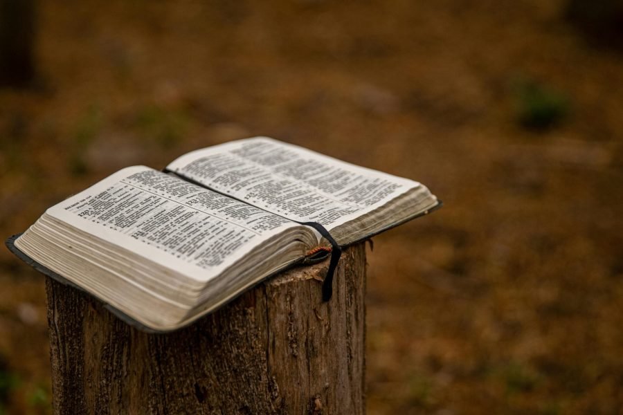 Open Bible placed on a tree stump outdoors, symbolizing faith in nature.